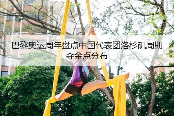 巴黎奥运周年盘点中国代表团洛杉矶周期夺金点分布